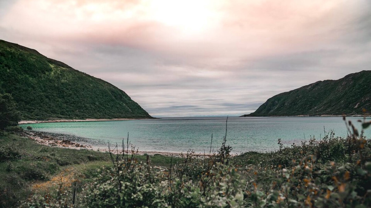 Botnhamn Apartment | Buvik Sea Lodge