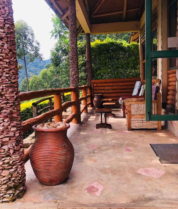 Bwindi Cabin | Bwindi Forest Lodge