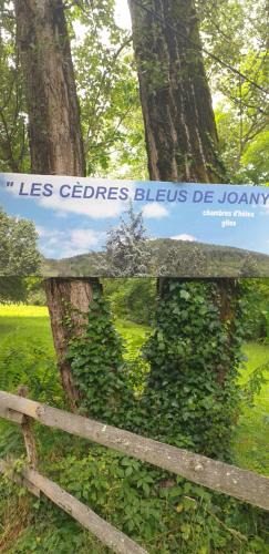 Viviez House | Cèdres Bleus de Joany chez Nathalie