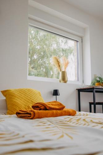 Comines-Warneton Bed & Breakfast | Côté Campagne