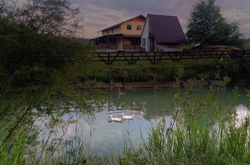 Rasca House | Căsuța de la râu