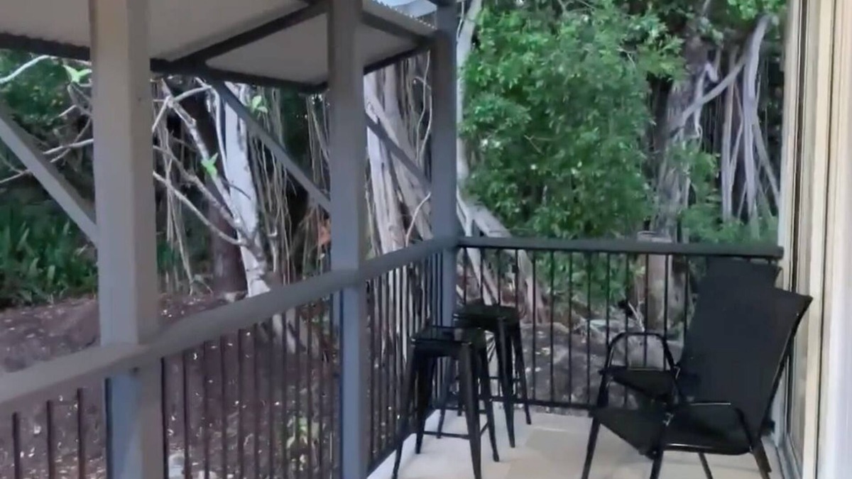Cooktown House | C J's Cooktown Holiday House Central Location Easy Walk to River, RSL and Pubs
