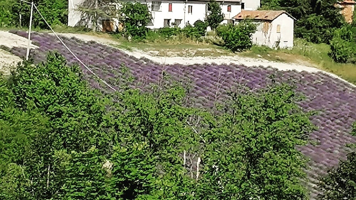 Sale San Giovanni House | Cà Burghin- Rustico from the 19th century overlooking the lavender fields