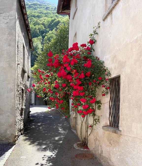 Gnosca Bed & Breakfast | Ca' Spontoi, Do-Minus Design Retreat & SPA