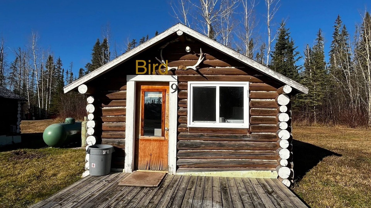 Northern Ontario Cabin | Buck Fever Services - Loding, Convenience +, Fluids, Wifi, Outdoors, Rental, etc