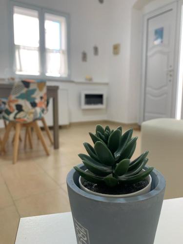 Calasetta Apartment | Ca' Wanda