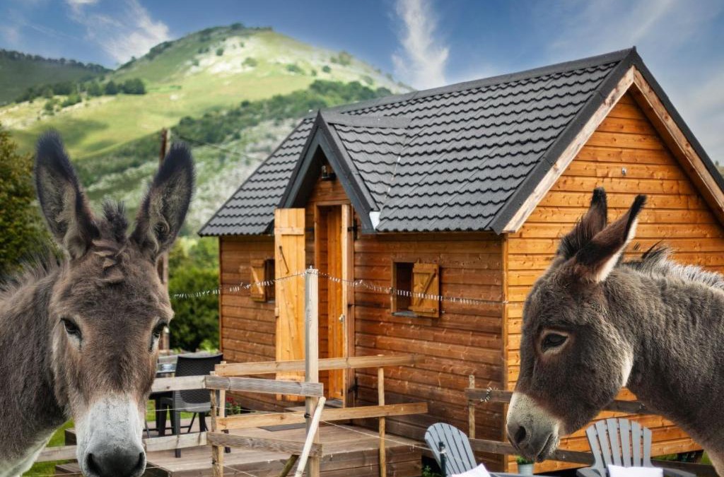 Segus House | Cab'ânes du Pibeste