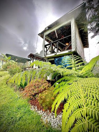 Guarne Apartment | Cabaña Blanca Cielo Abierto