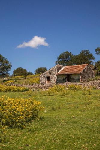 Terrenate Apartment | Cabaña Diego de Lucas