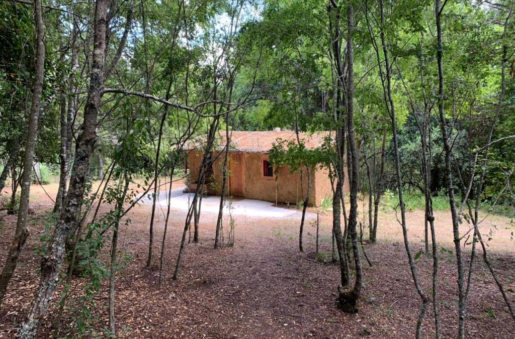 Villarrica House | Cabaña Entre Boldos, Camino Villarrica