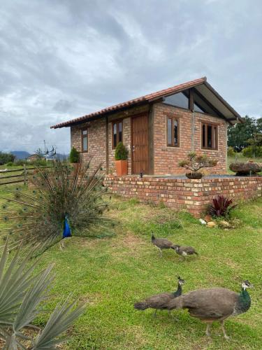 Villa de Leyva Apartment | Cabaña lagovilla