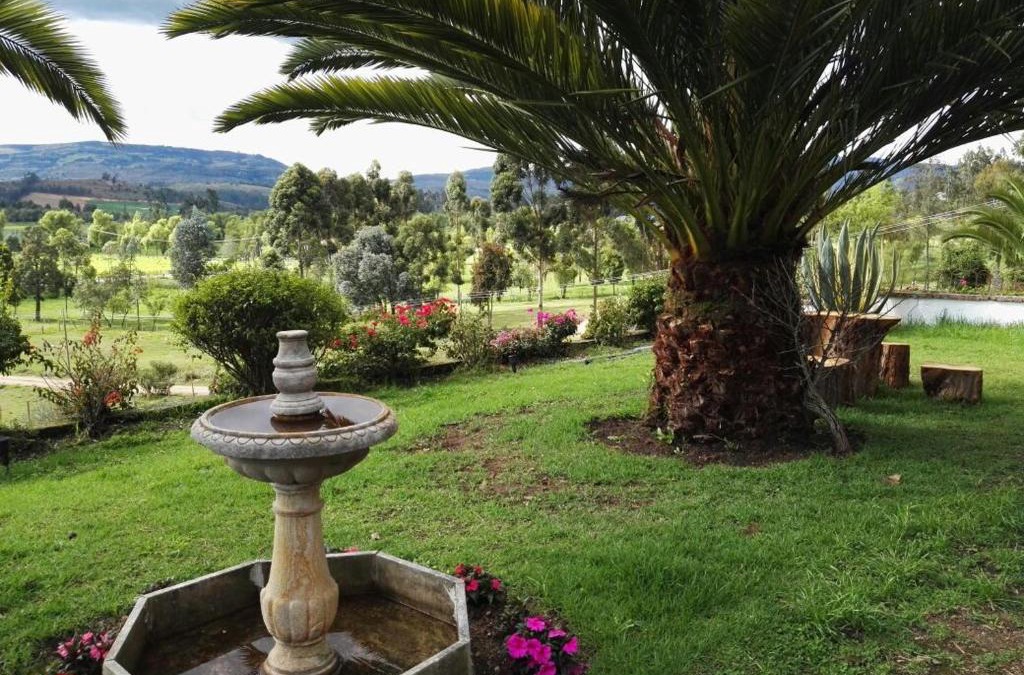 Iza House | Cabaña NIDO VERDE