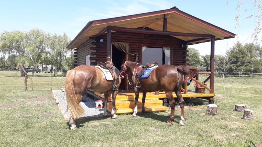 San Antonio de Areco House | Cabaña Rural El Encuentro