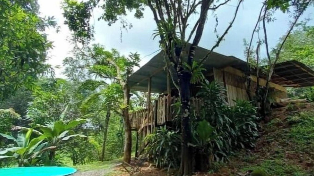 Naranjito Cabin | Cabaña The Garden