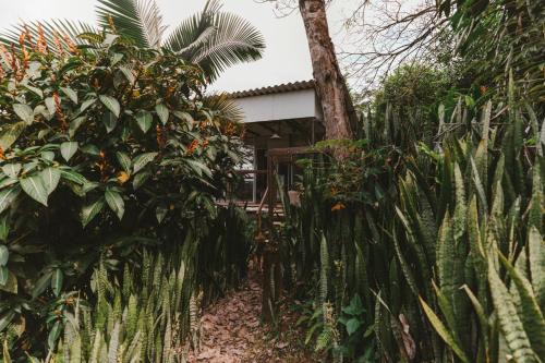 Manizales Cabin | Cabaña Tierra Verde eje Cafetero