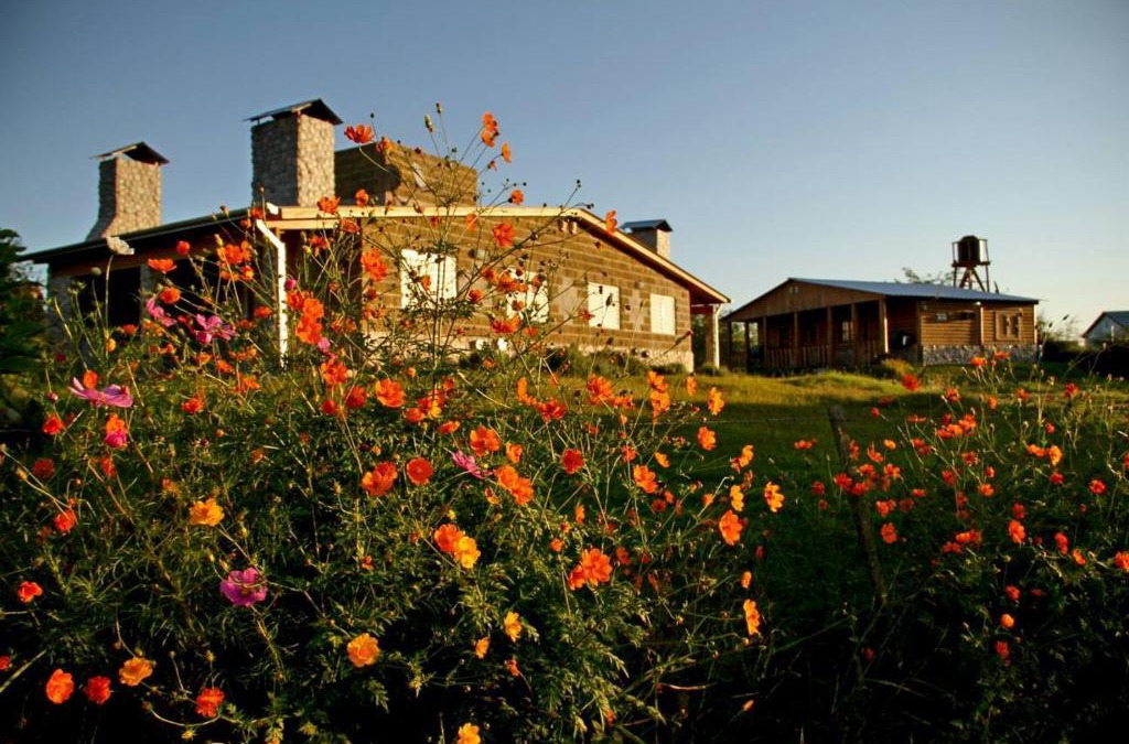 Cosquin Cabin | Cabañas Aliksir
