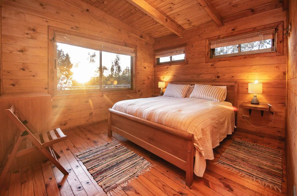 Puertecillo House | Cabañas Bosques de Puertecillo