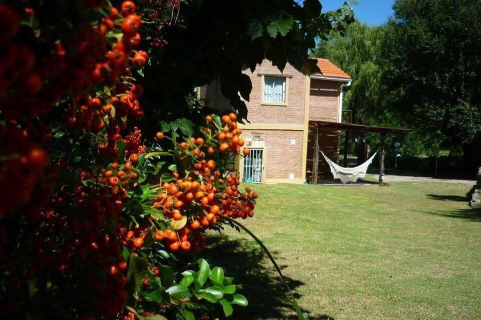 Trapiche Apartment | Cabañas Cuñas del Trapiche