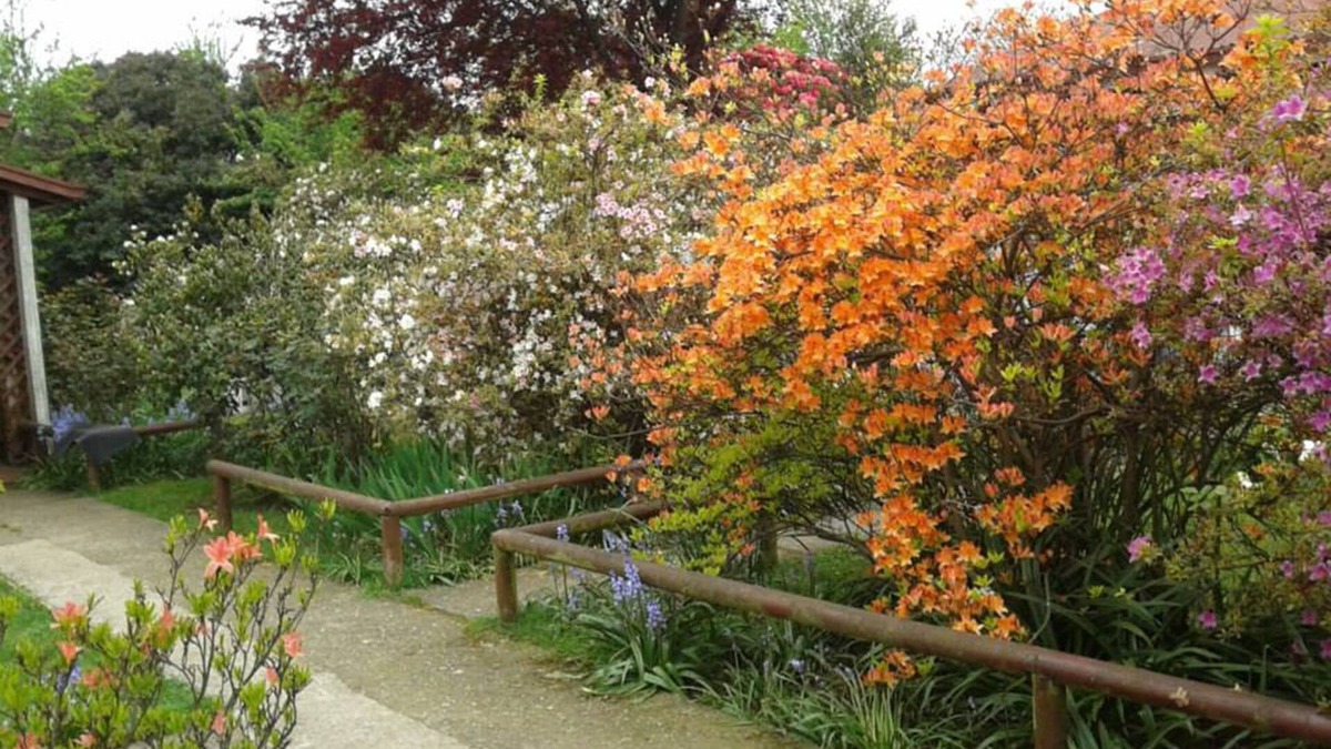Valdivia Cabin | Cabañas El Jardin