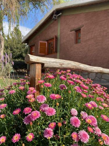Chilecito Ski Chalet | cabañas las viñas