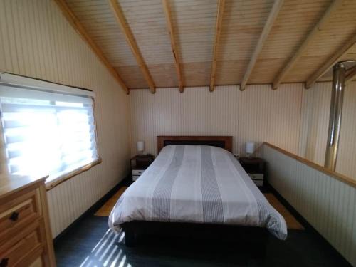 Melipeuco House | cabañas mañio melipeuco