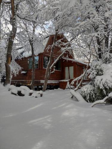 Moquehue Ski Chalet | Cabañas Refugio del Cauquen - Moquehue