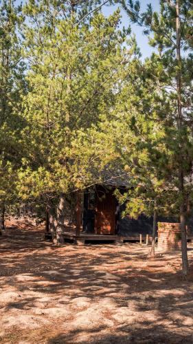 Algarrobo Apartment | cabañas riveras rentals