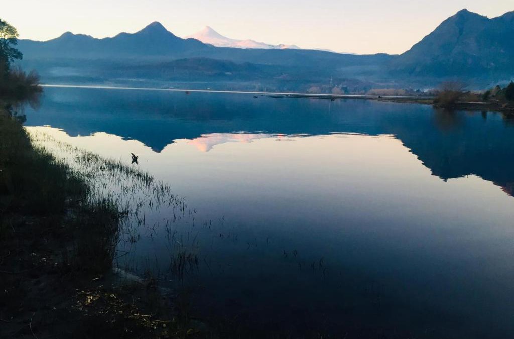 Conaripe House | Cabañas Ruka Rayun vista y acceso al lago en Coñaripe
