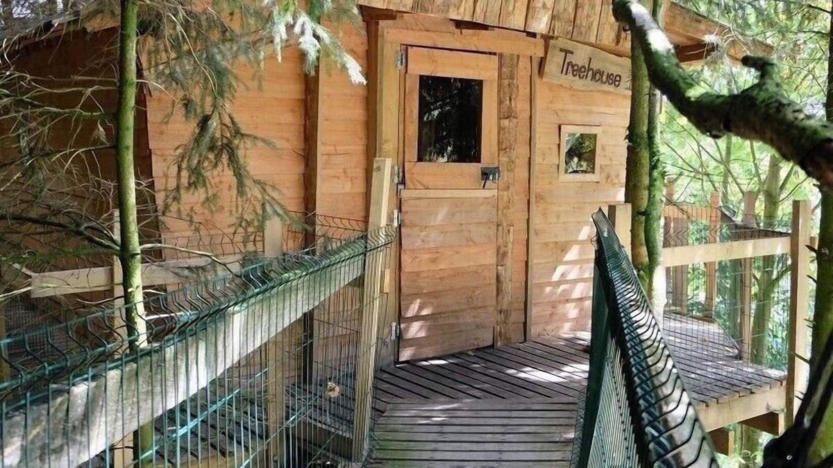 Saint-Thomas-de-Courceriers House | Cabane dans les Arbres - Tree House
