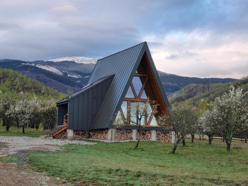 Pui Ski Chalet | Cabana A-frame Dor de Hateg