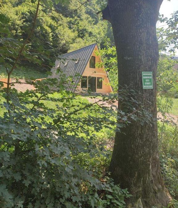 Ramet House | Cabana A Morarului