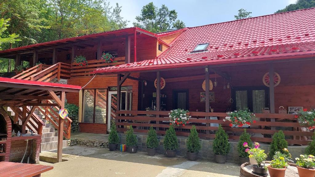 Baia Mare Cabin | Cabana Alpha
