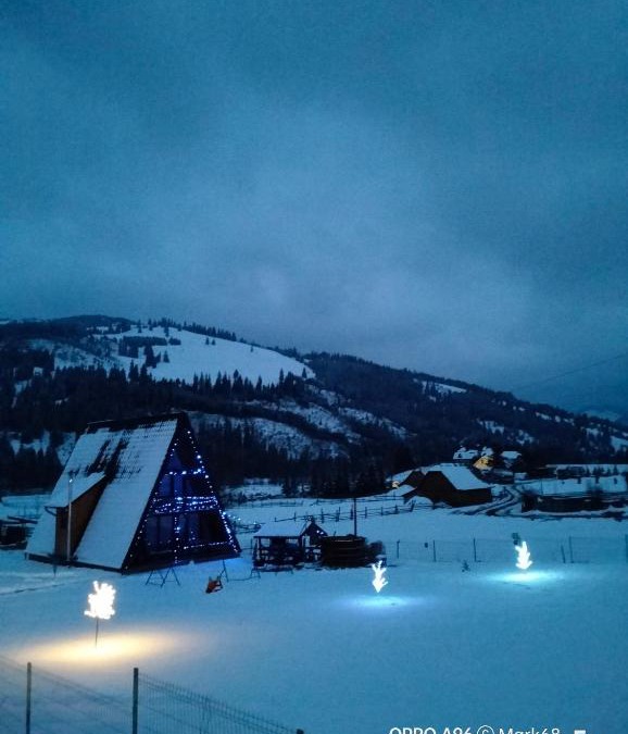 Vatra Dornei Cabin | Cabana Alpin