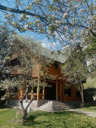 Deda House | Cabana Bistra