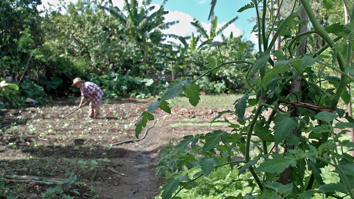 Puerto Esperanza House | Cabana del Sol - Ecological Farm