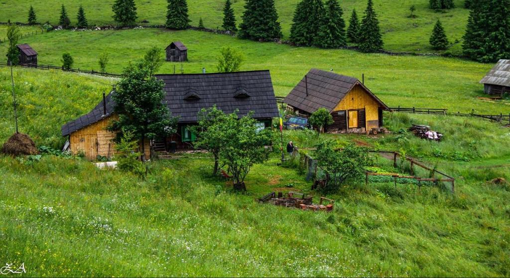 Carlibaba Cabin | Cabana Fluturica