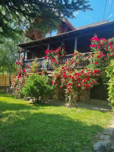 Soveja House | Cabana Haiducului