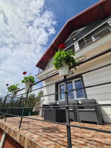 Apahida House | Cabana La Câmpe