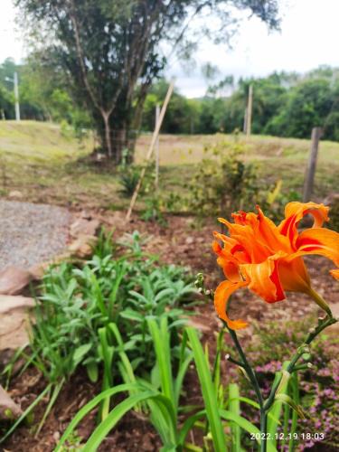 Doutor Ricardo House | Cabana, lagoas e natureza!
