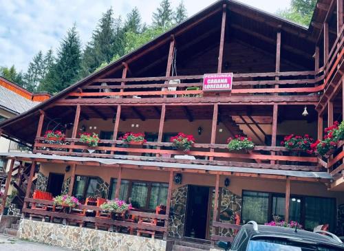 Vadu Motilor House | Cabana Loredana