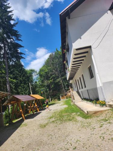Oestii Paminteni Other | Cabana Valea Bradului