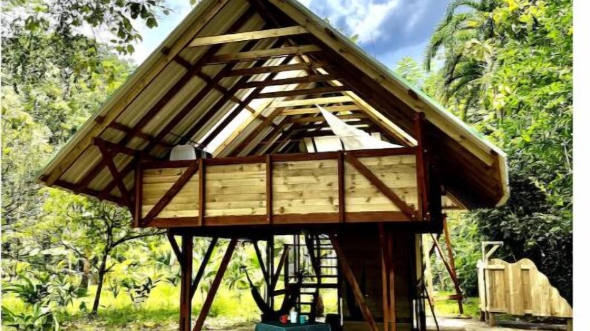 Nuqui Cabin | Cabane Élevée vue sur mer - Proche de Termales
