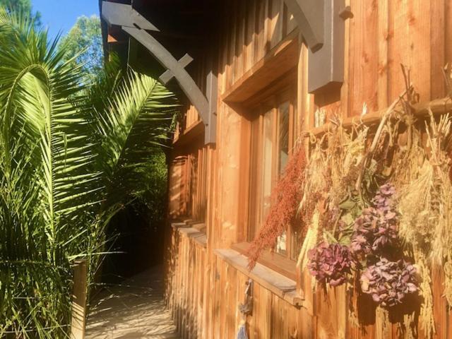 Cap-Ferret Bed & Breakfast | Cabane Chic au Cap Ferret