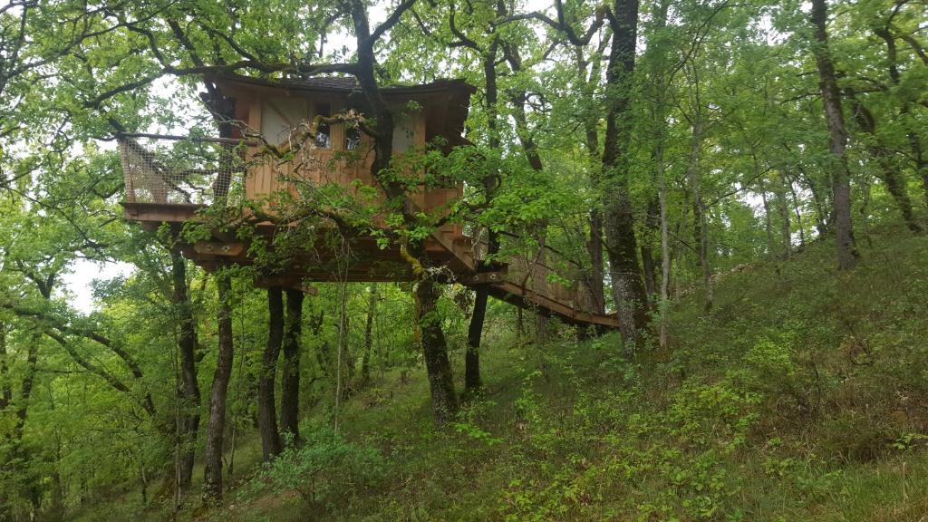 Mechmont Bed & Breakfast | Cabane Dans Les Arbres - La Pagode