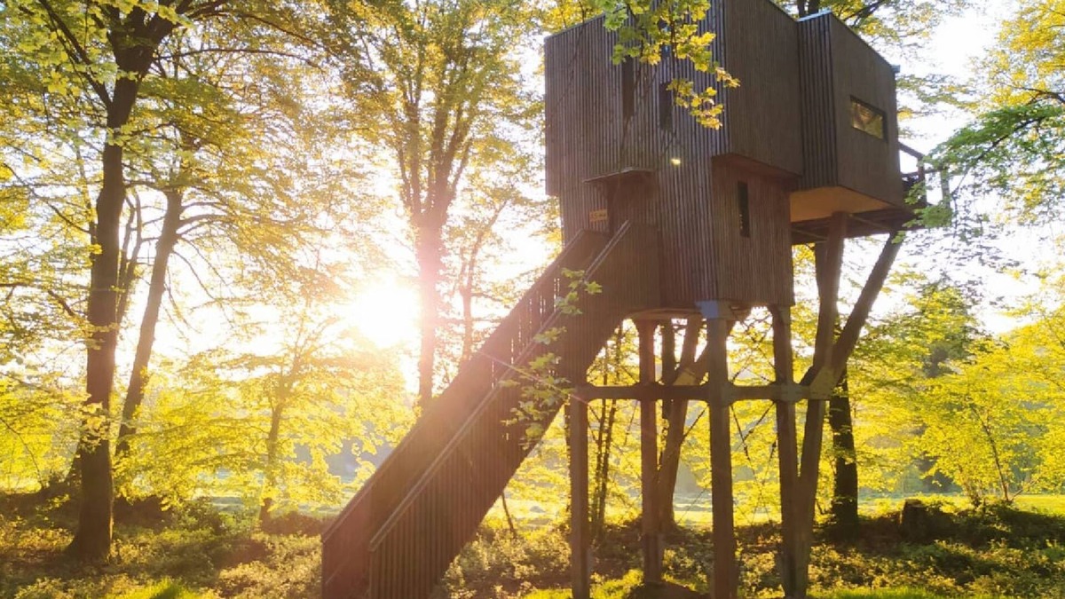 Noues de Sienne Hotel | CABANE DANS LES ARBRES (9M) 4/5 pers - Etape en Foret