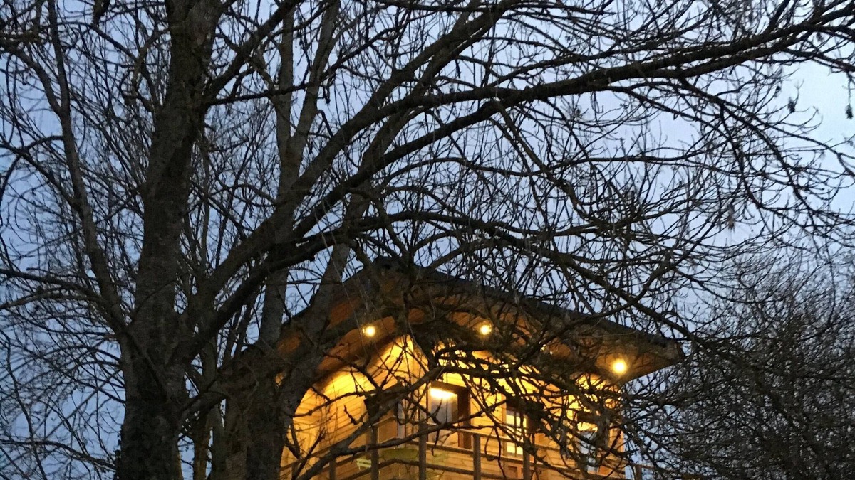 Vert Cabin | Cabane perchee - Sejour au Vert