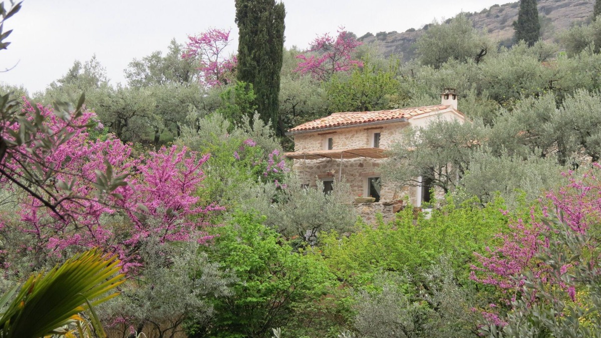 Nyons House | Cabanon in the olive trees in Nyons.