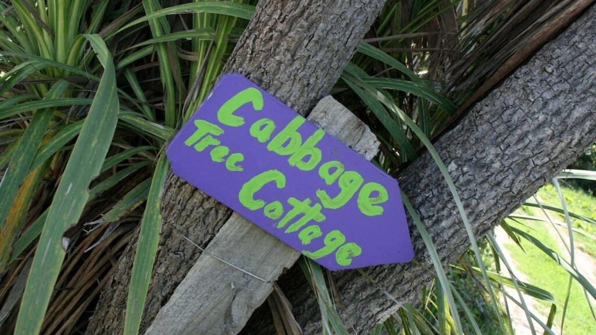 Mokihinui Cottage | Cabbage Tree Cottage - Beautiful home, stunning location. Pet-friendly.