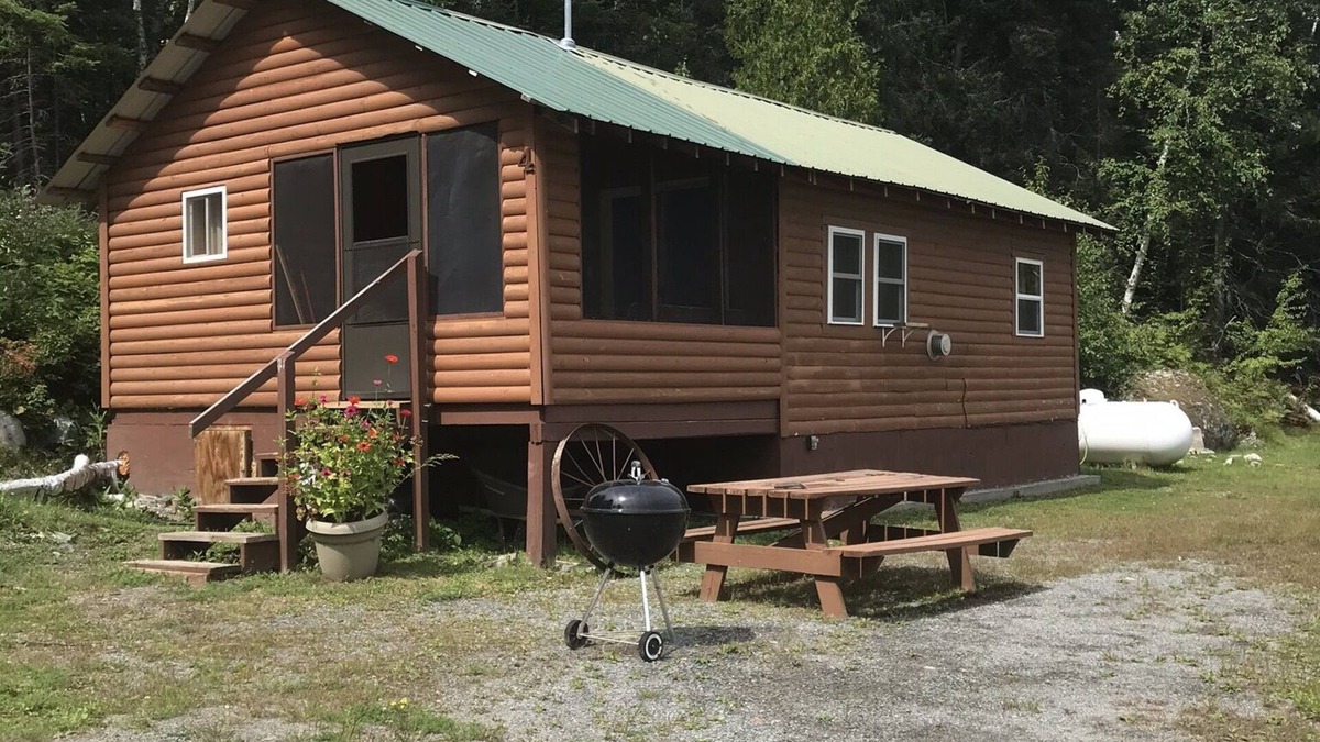 Sioux Narrows Nestor Falls Cabin | Cabin 4 Lakeview Shared Sauna-Hot Tub Patio, Lake Tours, Boat Rental