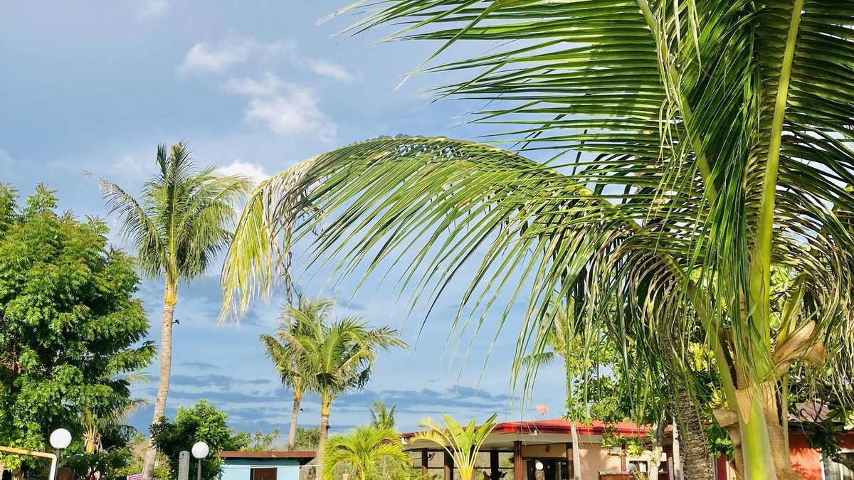 Loon Hotel | Cabilao Sunset Dive & Beach Resort